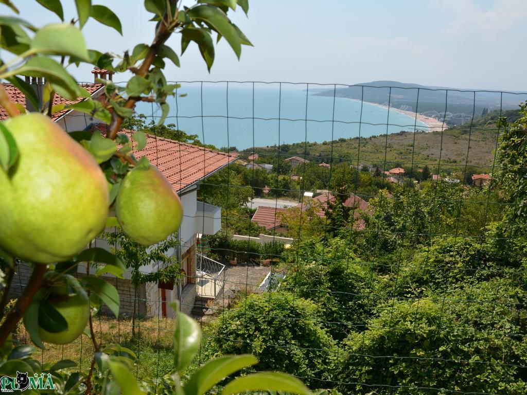 Villa Puma Balchik Quarto foto