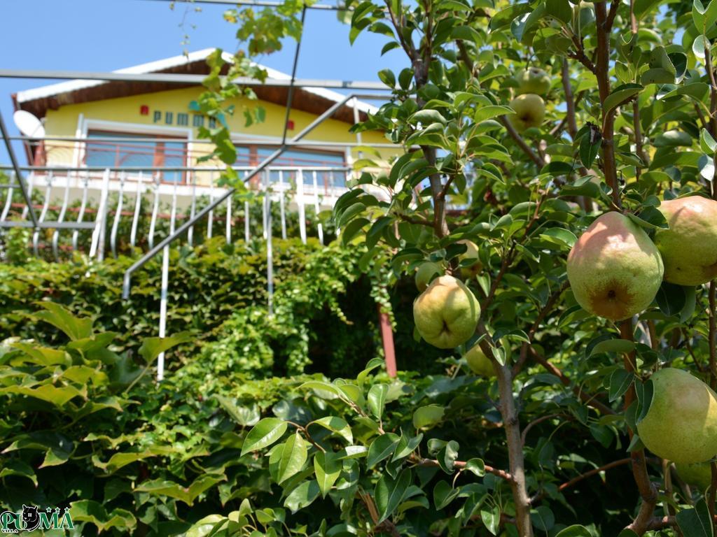 Villa Puma Balchik Quarto foto